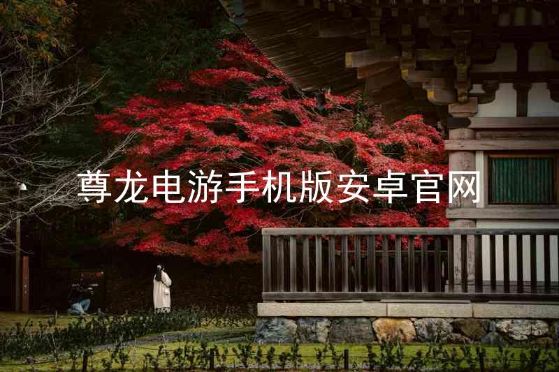 尊龙电游手机版安卓官网